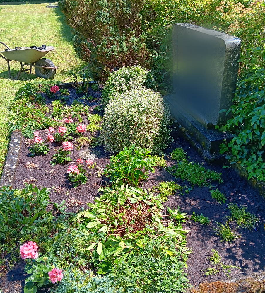Galeriebild 1